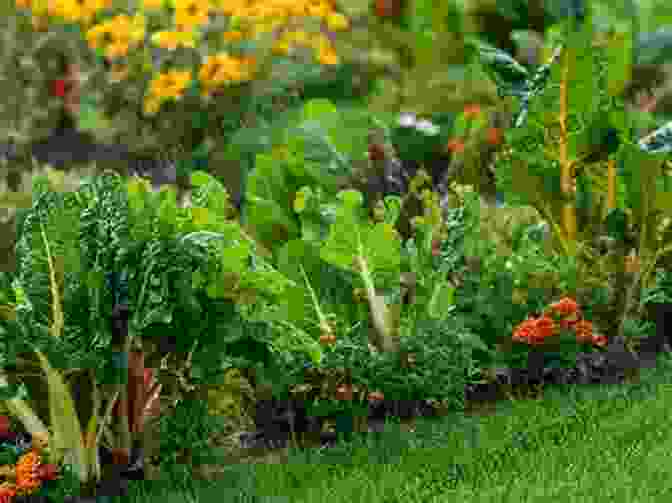 A Beautiful Garden With Flowers, Vegetables, And Herbs Growing Flowers: Everything You Need To Know About Planting Tending Harvesting And Arranging Beautiful Blooms (Gardening For Beginners Flower Arranging)