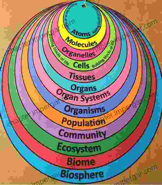 A Diagram Illustrating The Interaction Of Light With Biological Systems, Such As DNA And Cells. Biophotonics: Science And Technology Thomas Pyatt