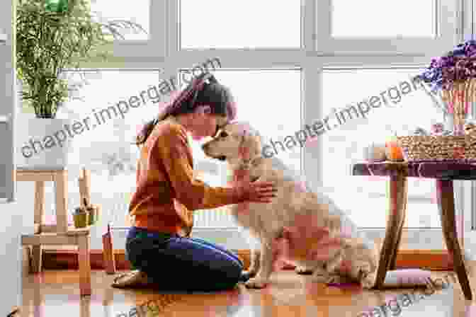 A Happy Dog Sitting Next To Its Owner, Who Is Holding A Copy Of It S Not The Dogs It S The People A Dog Trainer S Guide To Training Humans