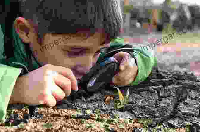 A Person Observing An Everyday Object With A Magnifying Glass, Symbolizing The Art Of Mindful Observation And Appreciation Things Japanese: Everyday Objects Of Exceptional Beauty And Significance