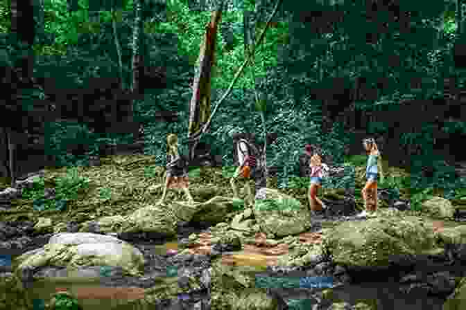 A Photo Of A Group Of People Trekking Through A Lush Green Forest. Dikes And Ditches Or Young America In Holland And Belgium: A Story Of Travel And Adventure