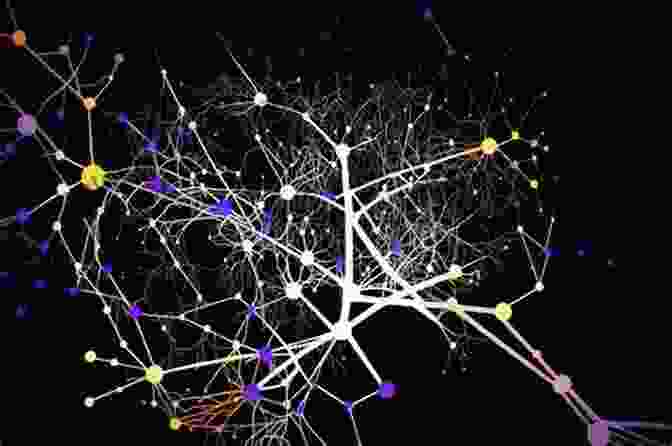 A Visualization Of Brain Network Dynamics, Showing The Changing Patterns Of Neural Activity Over Time, Influenced By External Stimuli And Internal Cognitive Processes. Networks Of The Brain Olaf Sporns