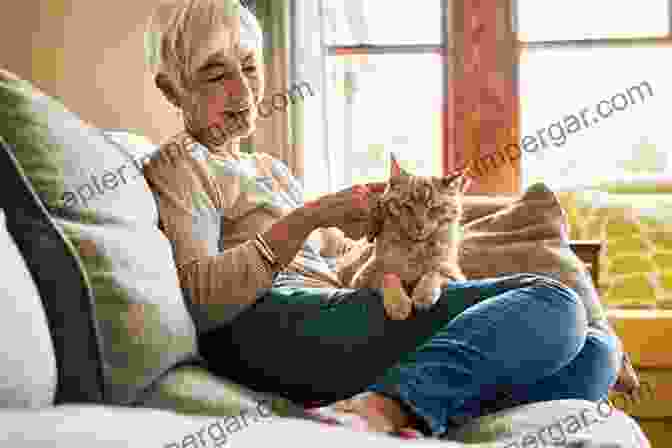 A Woman Lovingly Petting A Contented Cat On Her Lap. Me Groucho: Tiptoeing Together Through Hollywood S Litter Box