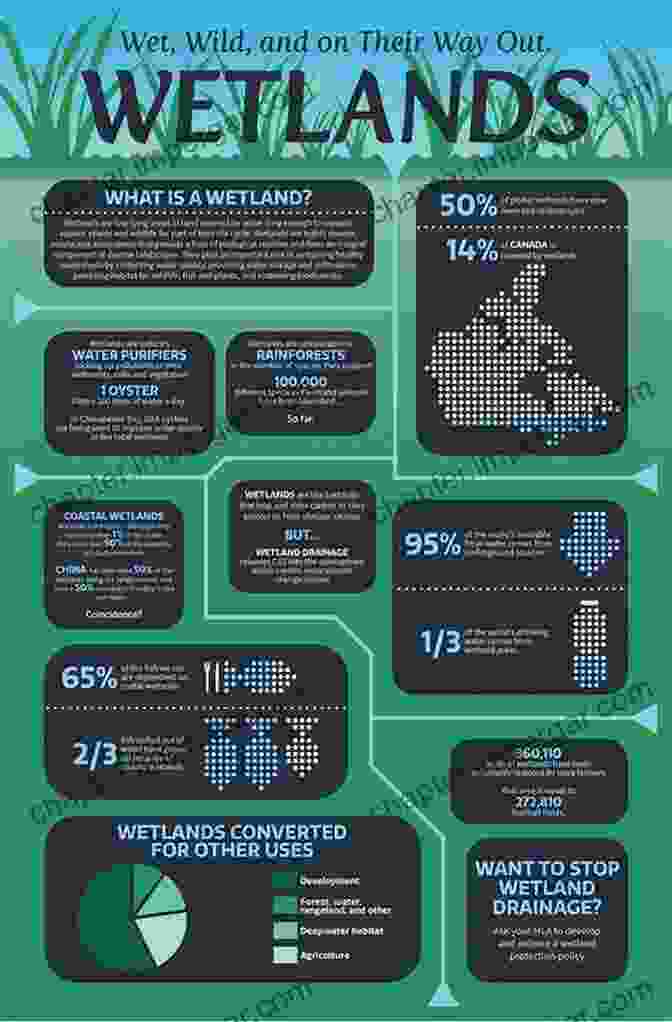 An Infographic Showcasing The Numerous Benefits Of Wetlands, Including Flood Control, Water Filtration, And Wildlife Habitat Wetland Ecology: Principles And Conservation