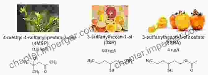 Aroma Compounds Enhancing Sauvignon Blanc The Cocktail Lab: Unraveling The Mysteries Of Flavor And Aroma In Drink With Recipes