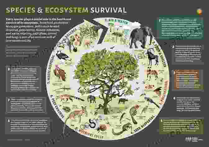 Biodiversity Ecosystem Stability: A Photo Of A Diverse Ecosystem, Showcasing The Interconnectedness Of Species And Their Vital Role In Maintaining Ecological Balance. Anthill Economics: Animal Ecosystems And The Human Economy