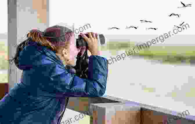 Birdwatcher Observing A Bird A Shimmer Of Hummingbirds: A Birder Murder Mystery (Birder Murder Mysteries 4)