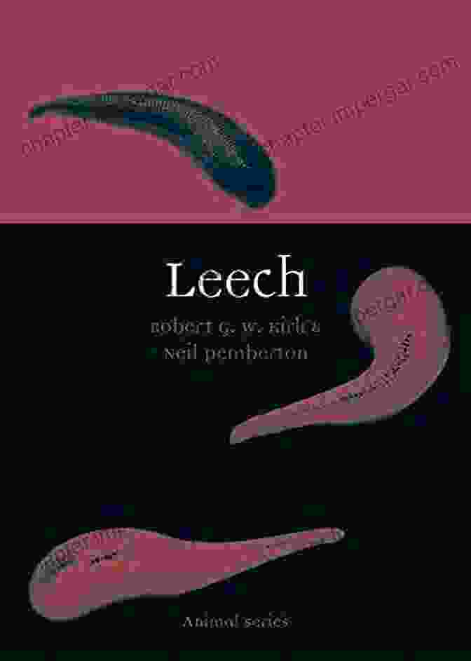 Cover Of The Book Leech Animal By Robert Kirk Leech (Animal) Robert G W Kirk