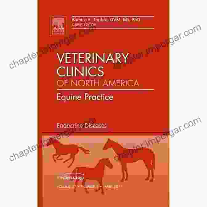 Equine Practice The Clinics Book Cover Veterinary Clinics: Equine Practice An Issue Of Veterinary Clinics Of North America: Equine Practice E (The Clinics: Veterinary Medicine)