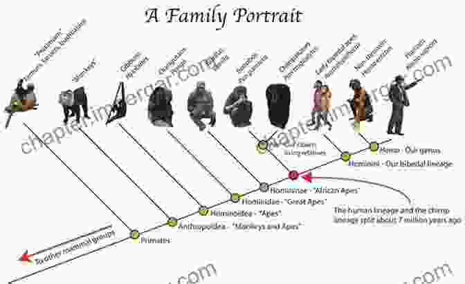 Evolution Of Primates From Tree Dwelling Ancestors To Bipedalism And Tool Use Feral Animals In The American South: An Evolutionary History (Studies In Environment And History)