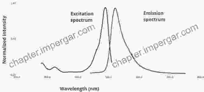 Fluorescence Excitation And Emission Spectra Fundamentals Of Fluorescence Microscopy: Exploring Life With Light