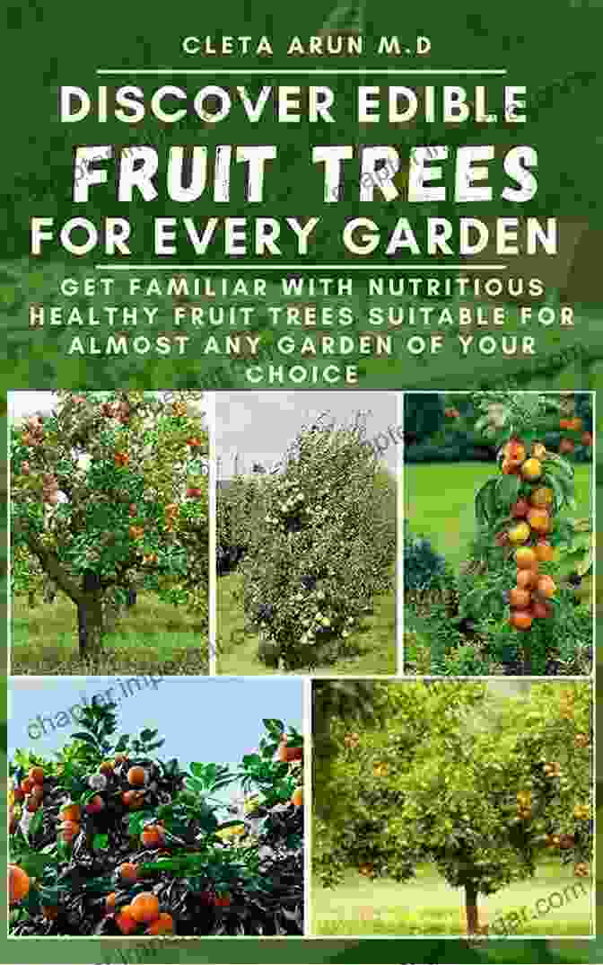 Fruit Trees For Every Garden An Essential Guide To Growing Delicious Fruits At Home Fruit Trees For Every Garden: An Organic Approach To Growing Apples Pears Peaches Plums Citrus And More