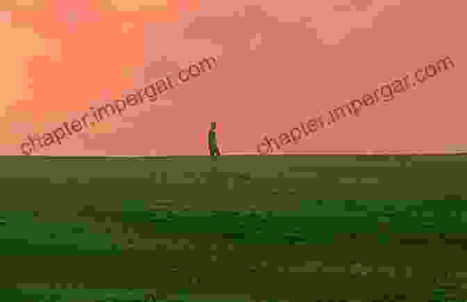 I Am Not Patrick Baldwin Book Cover, Featuring A Lone Figure Standing Amidst A Barren Landscape I Am Not I Patrick Baldwin