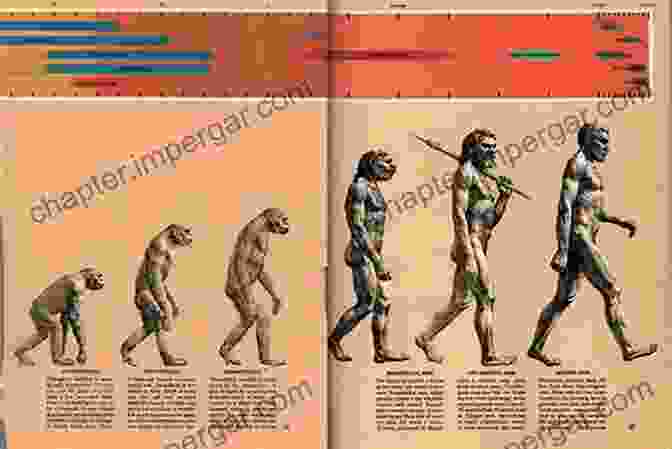 Illustration Of Early Human Evolution History Of Life Richard Cowen