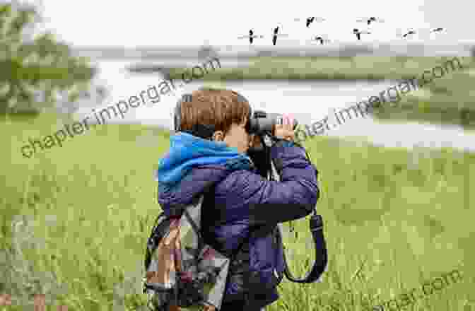 Man With Binoculars Observing Birds In A Forest Finding Australian Birds: A Field Guide To Birding Locations