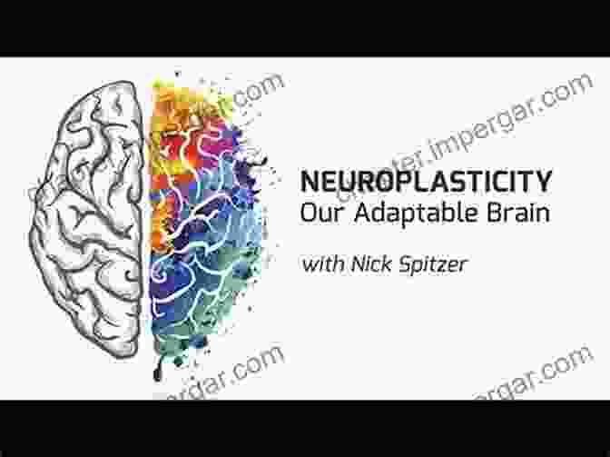 Neuroplasticity Demonstration A History Of The Mind: Evolution And The Birth Of Consciousness