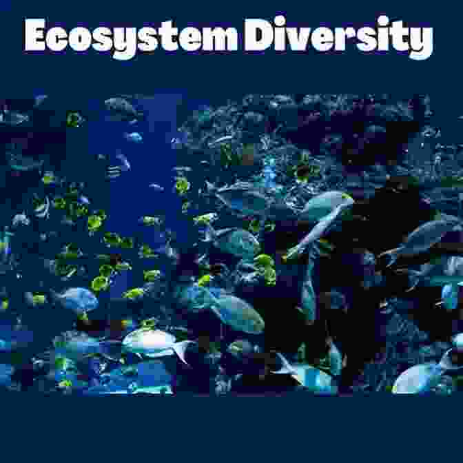 Panorama Of A Diverse Ecosystem From Cells To Societies: Models Of Complex Coherent Action (Springer In Synergetics)