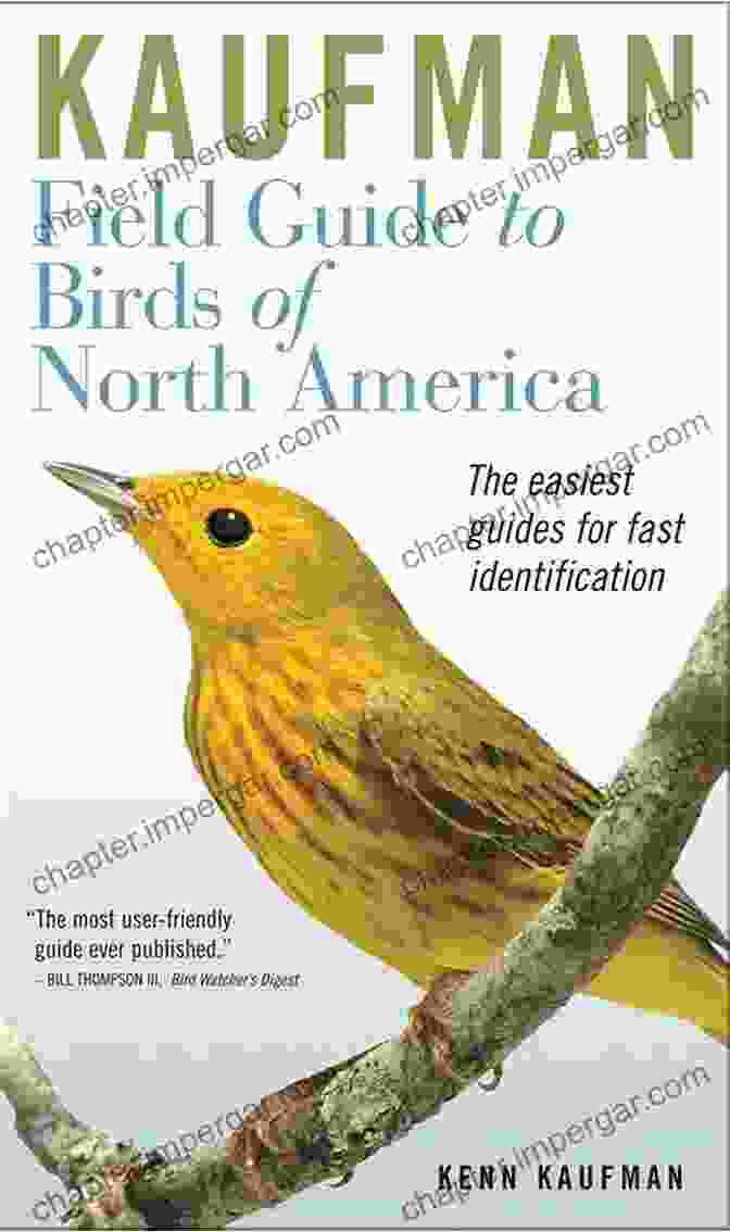 Person Using A Field Guide To Identify A Bird Finding Australian Birds: A Field Guide To Birding Locations