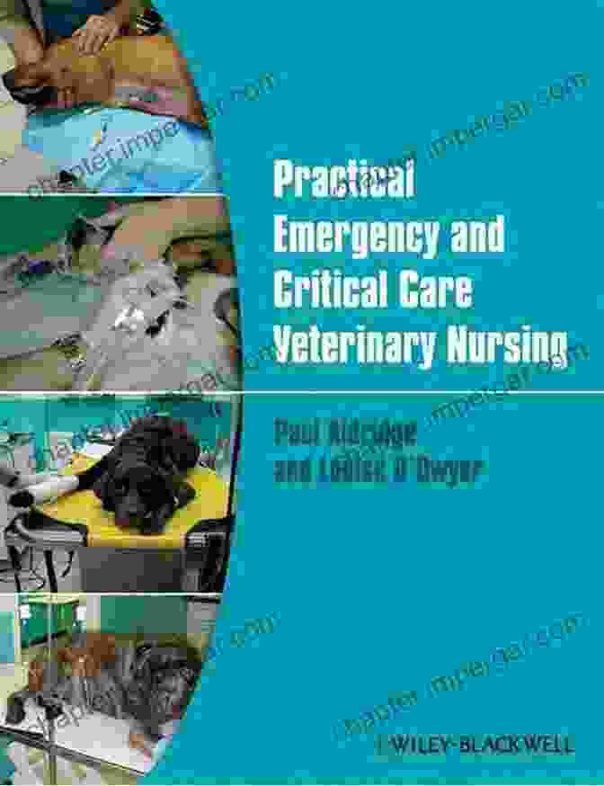 Practical Emergency And Critical Care Veterinary Nursing Book Cover Practical Emergency And Critical Care Veterinary Nursing