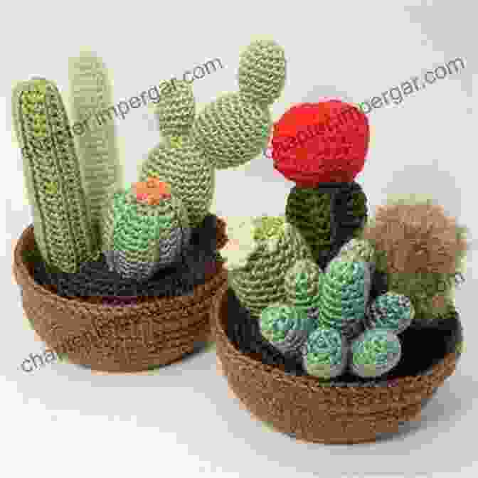 Rainbow Cactus Stylish Succulents To Crochet: 15 Colourful Cactuses And Other Pot Plants To Make For Your Home