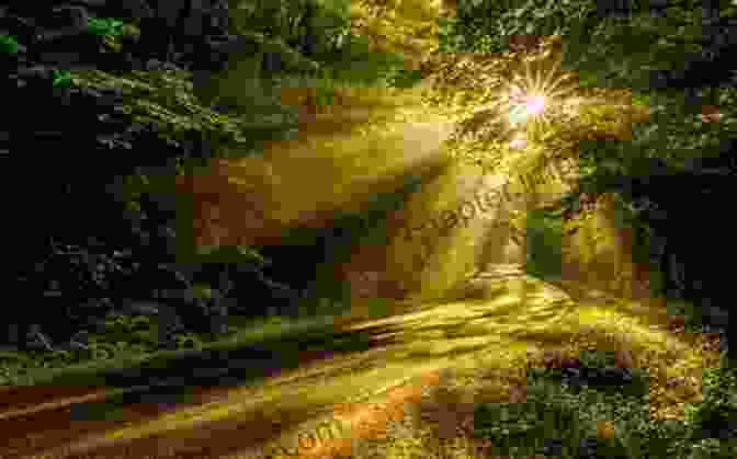 Sunlight Filters Through The Trees, Casting A Serene Light On The Jordan River At Sunset. Heathen And Holy Lands Or Sunny Days On The Salween Nile And Jordan