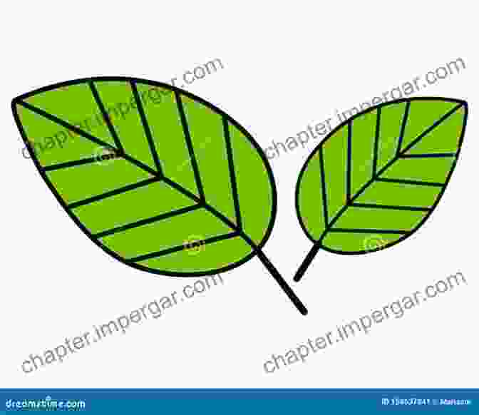 Sustainable Future Blueprint: A Photo Of A Green Leaf With A Blueprint Overlay, Symbolizing The Integration Of Natural Principles In Economic Planning. Anthill Economics: Animal Ecosystems And The Human Economy