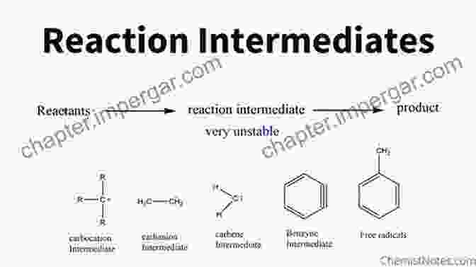 The Role Of Reactive Intermediates In Organic Processes Organometallic Mechanisms And Catalysis: The Role Of Reactive Intermediates In Organic Processes