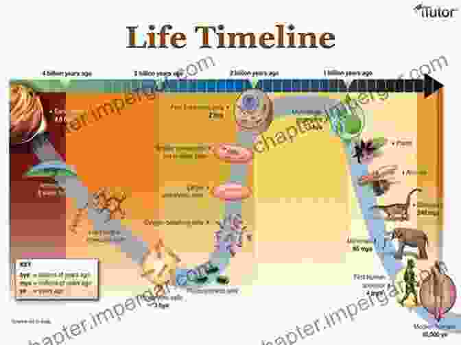 Timeline Of Evolutionary History From Cells To Societies: Models Of Complex Coherent Action (Springer In Synergetics)