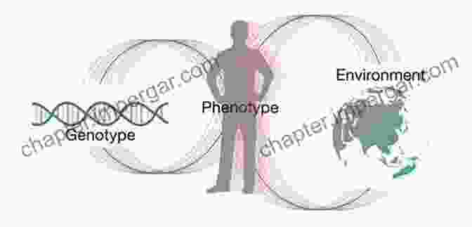 Twins Engaging In Social Interaction, Reflecting The Interplay Of Genetics And Environment Entwined Lives: Twins And What They Tell Us About Human Behavior