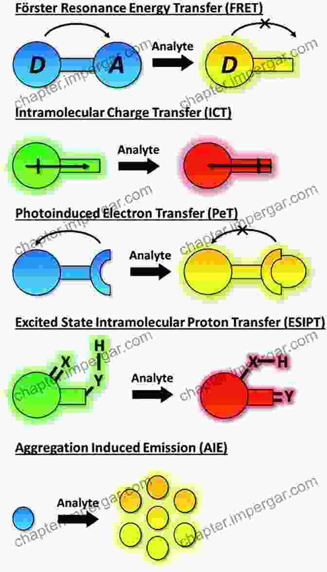 Types Of Fluorescent Probes Fundamentals Of Fluorescence Microscopy: Exploring Life With Light