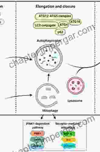 Autophagy And Cancer (Current Cancer Research 8)