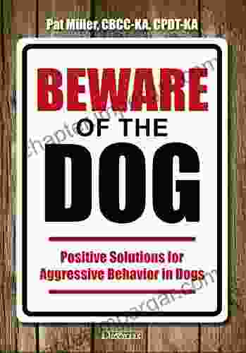 Beware Of The Dog Positive Solutions For Aggressive Behavior In Dogs