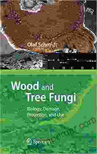 Wood And Tree Fungi: Biology Damage Protection And Use