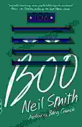 Boo (Vintage Contemporaries) Neil Smith