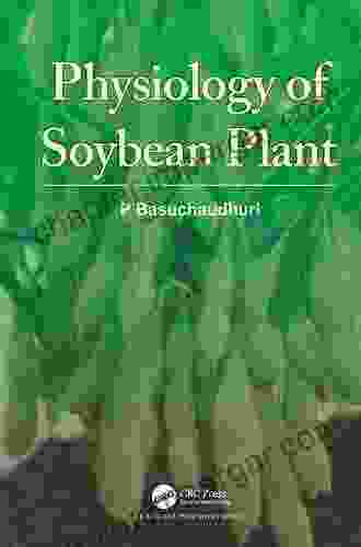 Physiology Of Soybean Plant P Basuchaudhuri