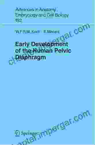 Early Development Of The Human Pelvic Diaphragm (Advances In Anatomy Embryology And Cell Biology 192)