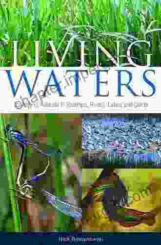 Living Waters: Ecology Of Animals In Swamps Rivers Lakes And Dams