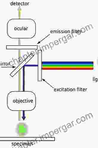 Fundamentals Of Fluorescence Microscopy: Exploring Life With Light