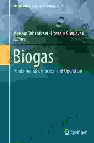 Biogas: Fundamentals Process And Operation (Biofuel And Biorefinery Technologies 6)