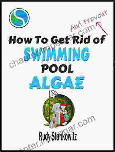 How To Get Rid Of Swimming Pool Algae