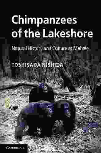 Chimpanzees Of The Lakeshore: Natural History And Culture At Mahale