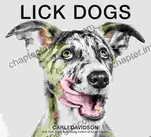 Lick Dogs Carli Davidson