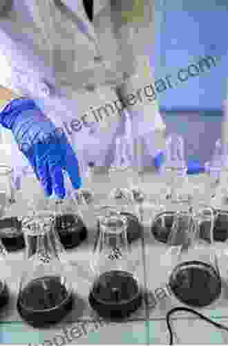 Laboratory Testing Of Soils Rocks And Aggregates