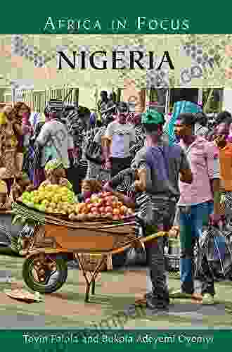 Nigeria (Nations In Focus) Willem Floor