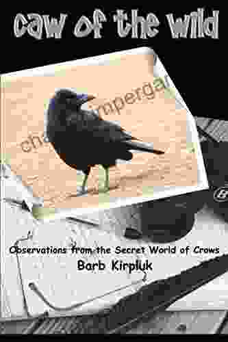 Caw Of The Wild: Observations From The Secret World Of Crows