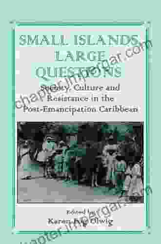 Small Islands Large Questions: Society Culture And Resistance In The Post Emancipation Caribbean