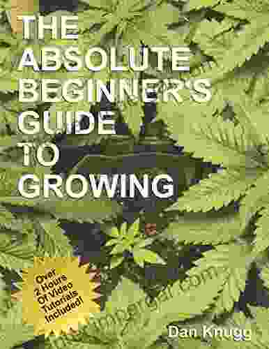 The Absolute Beginner S Guide To Growing Cannabis