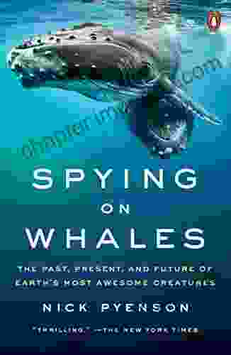 Spying On Whales: The Past Present And Future Of Earth S Most Awesome Creatures