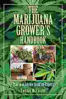 The Marijuana Grower S Handbook: Practical Advice From An Expert