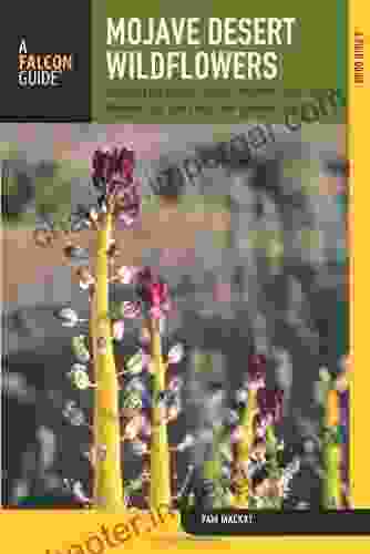 Mojave Desert Wildflowers 2nd: A Field Guide To Wildflowers Trees And Shrubs Of The Mojave Desert Including The Mojave National Preserve Death Park And Joshua Tree National Park